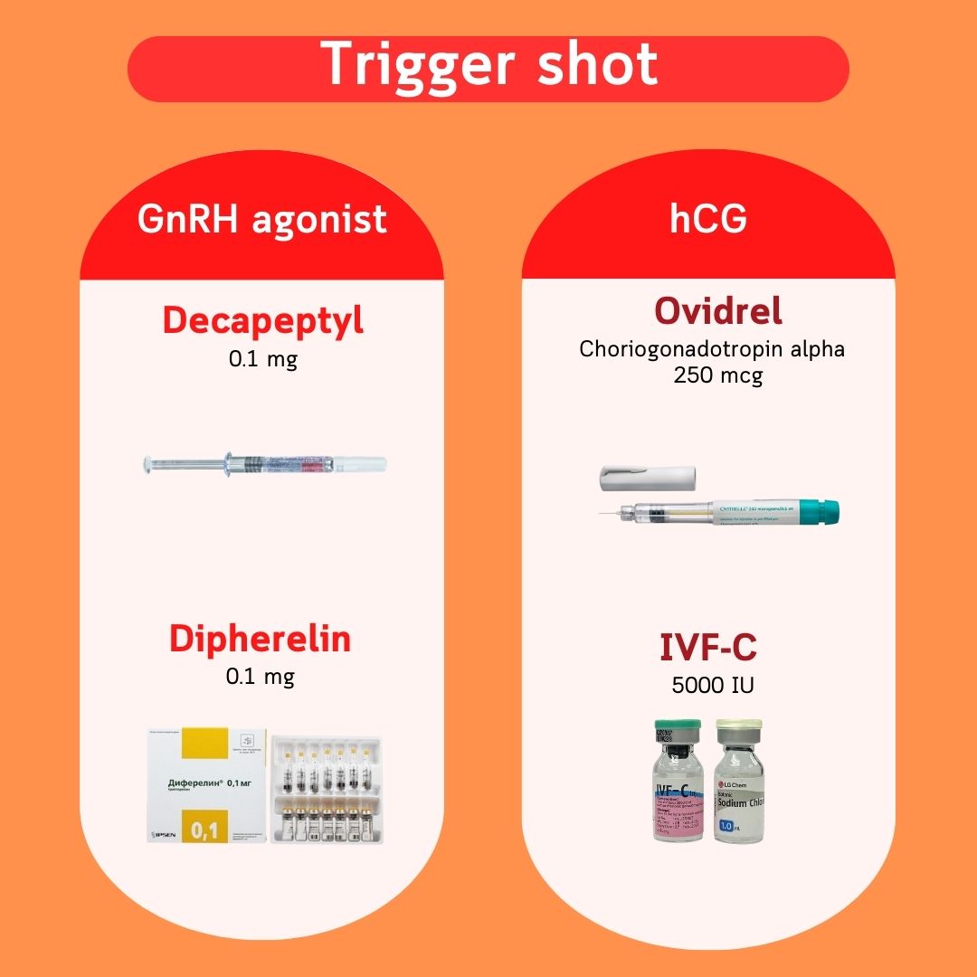Trigger shots — GnRH agonists (Decapeptyl, Diphereline) and hCG (Ovidrel, IVF-C)