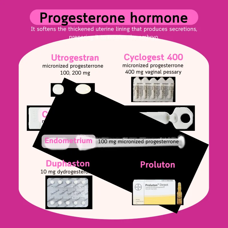 Progesterones for endometrial preparation and support — Cyclogest, Utrogestran, Endometrin, Crinone, Duphaston, Proluton