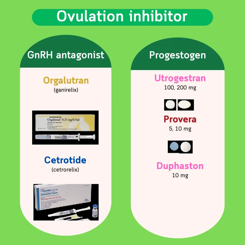 Prevention of premature ovulation — GnRH antagonists (Orgalutran, Cetrotide) and Progestogens (Utrogestran, Provera, Duphaston)