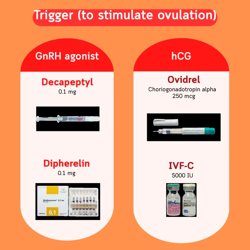 Trigger shots — GnRH agonists (Decapeptyl, Diphereline) and hCG (Ovidrel, IVF-C)