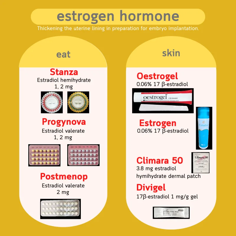 Estrogens for endometrial preparation — oral (Estrofem, Progynova, Postmenop) and transdermal (Oestrogel, Estrodose, Climara, Divigel)
